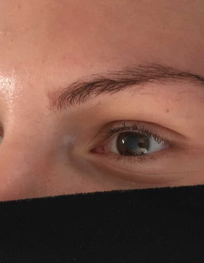 Henna-Brows-and-Wax-Before-Treatment
